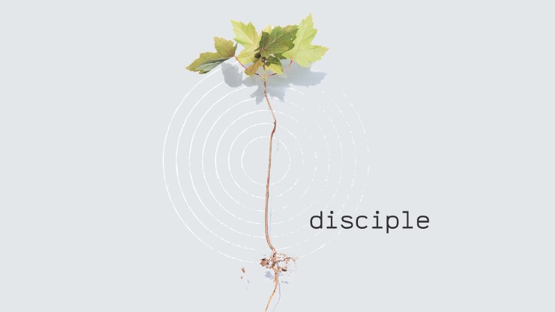 Making Disciples Who Make Disciples | RiverLakes Community Church