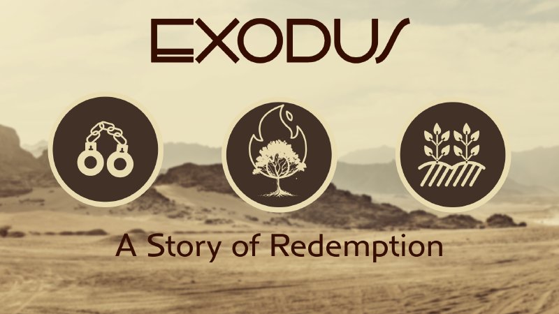 Exodus 8:1-10 -- 