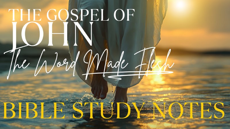 1.8.25 Bible Study Notes | The Word Made Flesh | John 1:19-51 | NDCBF ...