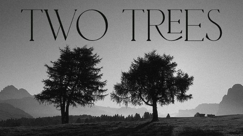 Two Trees | The Sanctuary Church