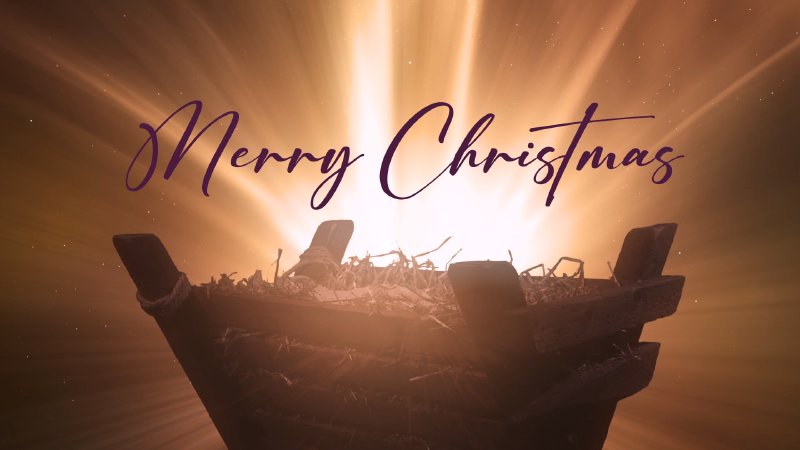 A Story of Worship | New Palestine Bible Church