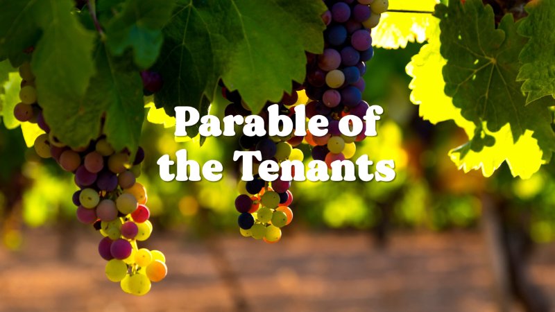 Parable of the Tenants | Chinese Bible Missions Church