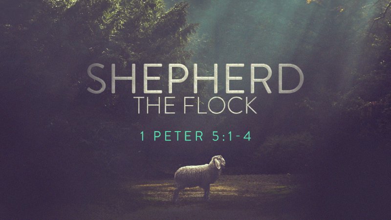 Shepherd the Flock | Antioch Baptist Church of Lumberton NC