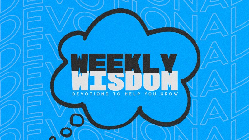 Weekly Wisdom | Azalea City