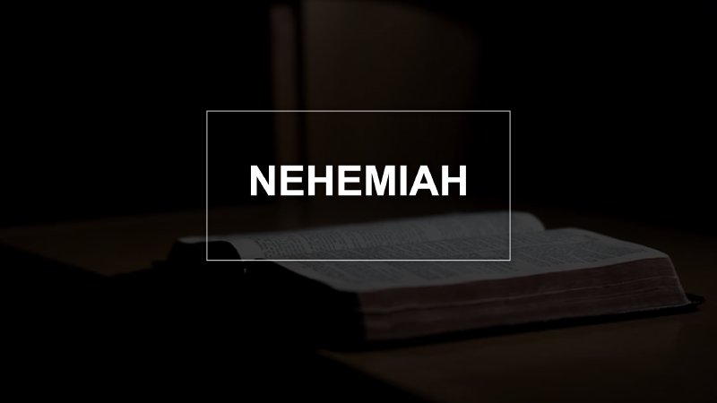 Nehemiah 2:9 - 3:32 / CCT / Pastor Joe Holden (Video) | Calvary Chapel ...