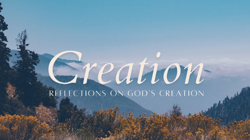 Creation with Larry Rice | NLEC TV by New Life Evangelistic Center