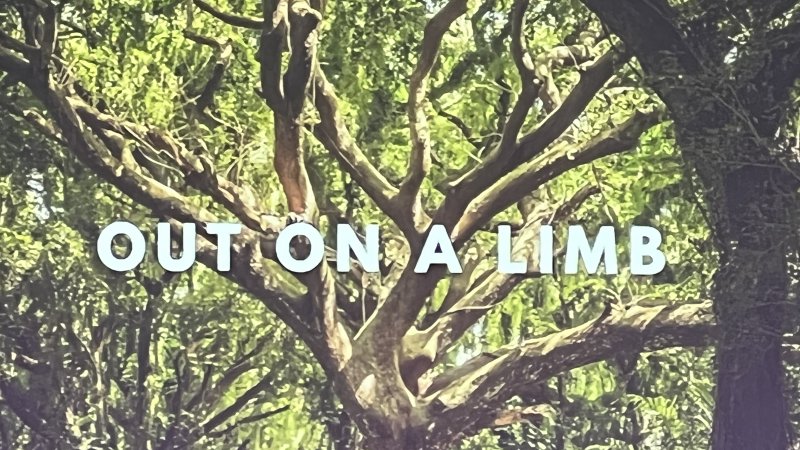 Out on a Limb | Freedom Place Church