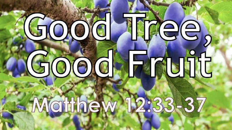 Good Tree, Good Fruit | The Potter’s Christian Life Center