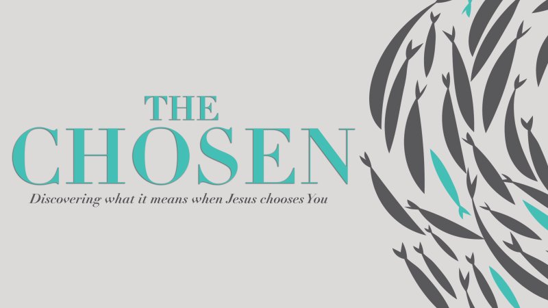 The Chosen Life | VineyardNY Church