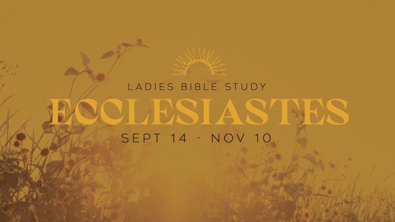 Overview Of Bible Study 