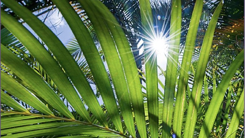 Sunday Livestream Worship Service Monument Community Presbyterian Church