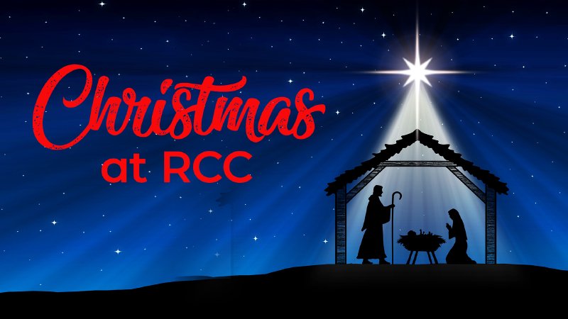 Reed christmas jobs london