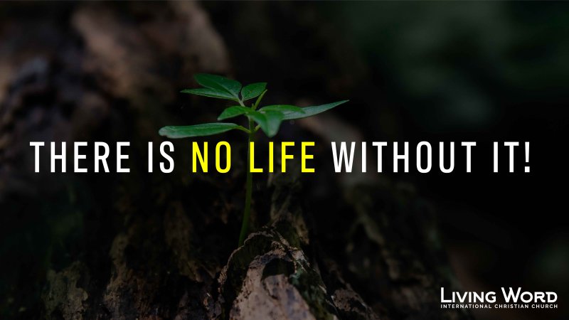 There Is No Life Without It! - Part 1 | Living Word
