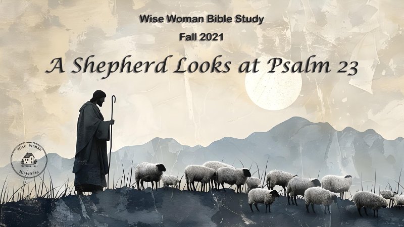 A Shepherd Looks at Psalm 23 | Springs Lighthouse
