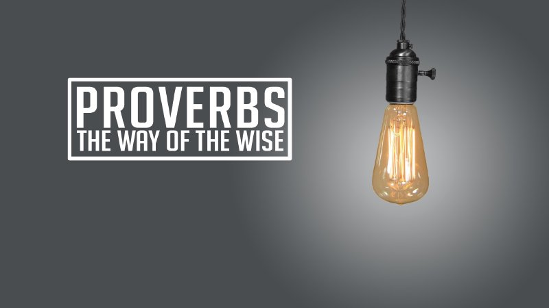 Correction, Discipline, Diligence vs Laziness & Friends | Proverbs ...