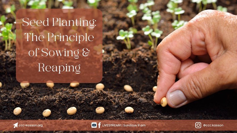 Seed Planting: The Principle of Sowing & Reaping | Community ...