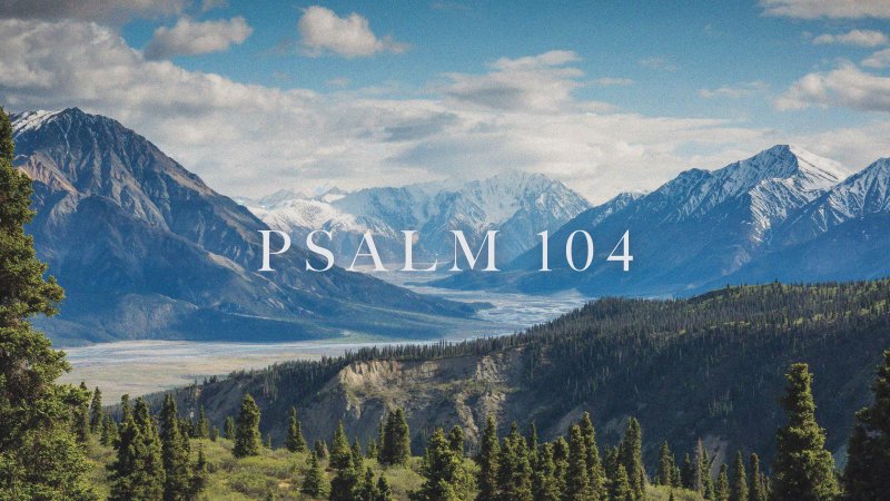 Psalm 104 | The Majesty of God in the Beauty of Creation | Crossroads ...