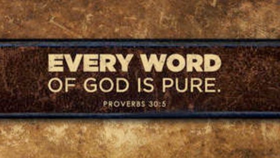 god-s-word-preserved-10-bible-baptist-church