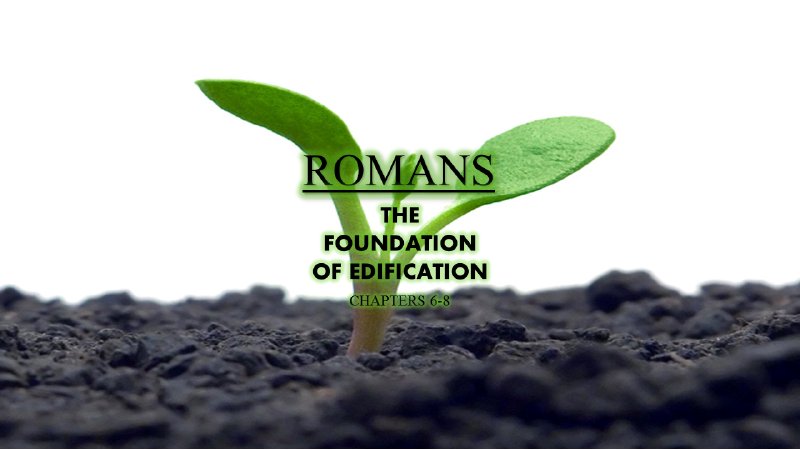 romans-chapter-1-summary-tcgf