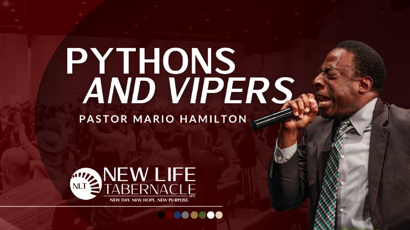 Pythons and Vipers | New Life Tabernacle (Church) UPC Tampa, FL