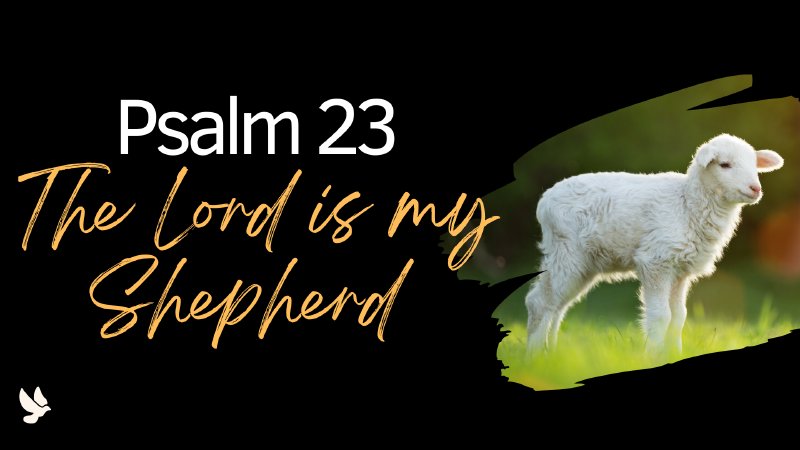 Psalm 23: The Lord is my Shepherd | Grace in Pagosa