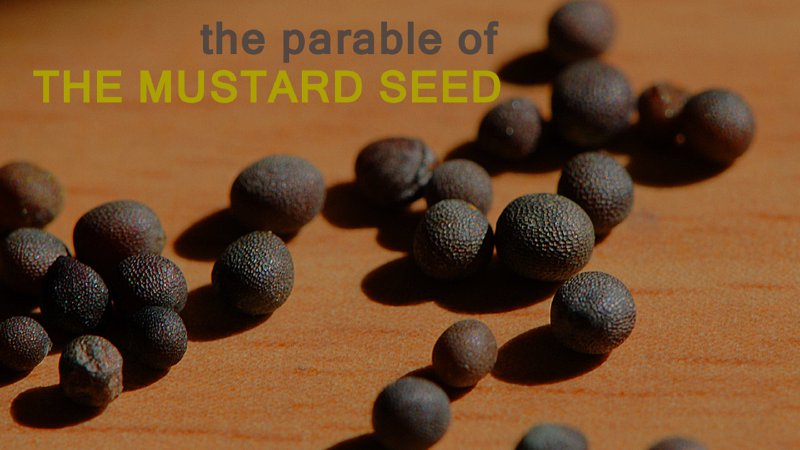 The Parable Of The Mustard Seed Cornerstone Fellowship Tahlequah