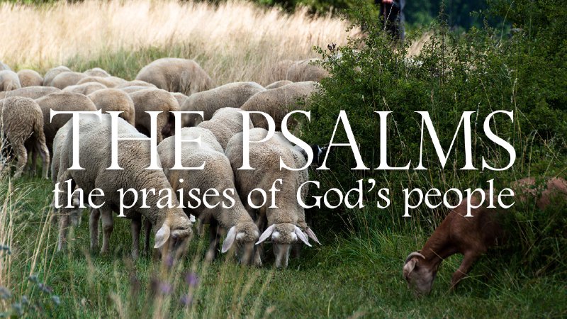 Psalm 89:1-18 | A Call to Worship | Cliffwood Presbyterian