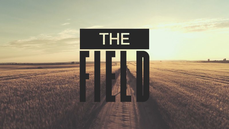 The Field What To Do In The Field Fieldview Church