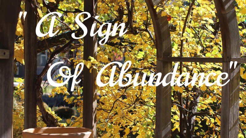 A Sign of Abundance | United Methodist Church of Thousand Oaks