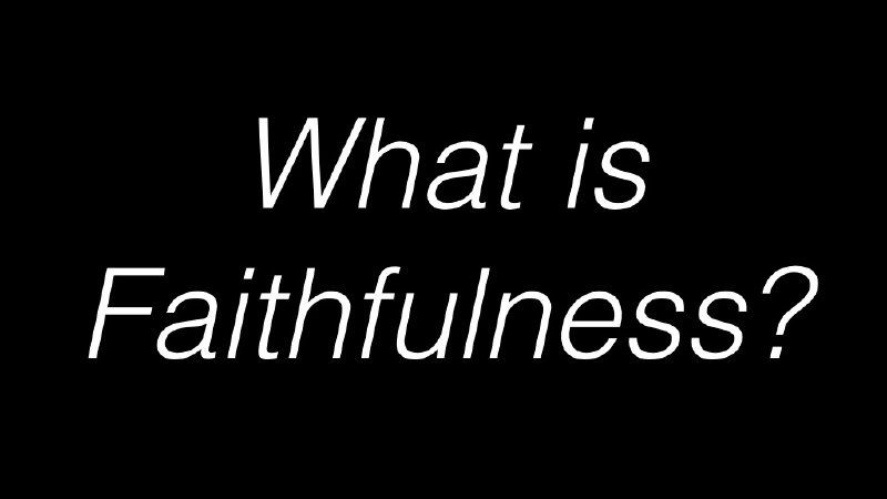 What Is Faithfulness 