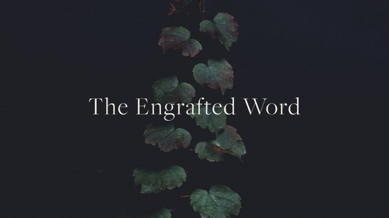The Engrafted Word | Pentecostals of Bourbon