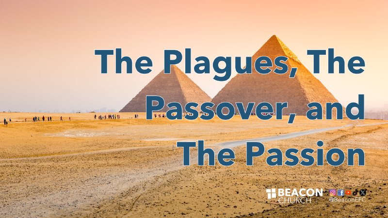 The Plagues, The Passover, & The Passion | Beacon Evangelical Free Church