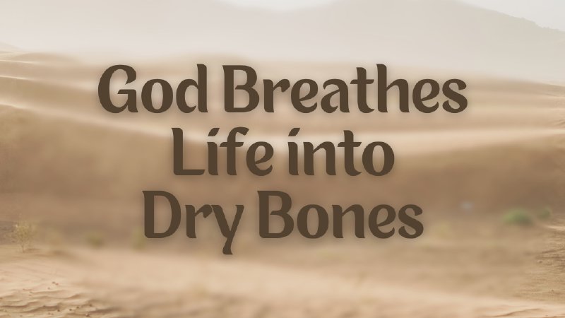 Paul Adelstein: The Versatile Actor Who Breathes Life Into Every Role