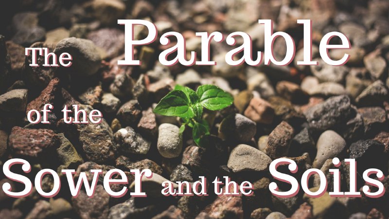 Parable of the Sower and the Soils | Berean Bible Baptist Church