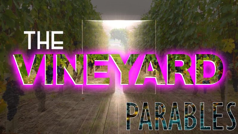 Part 22 - The Vineyard (Pt D) | Corner Fringe Ministries