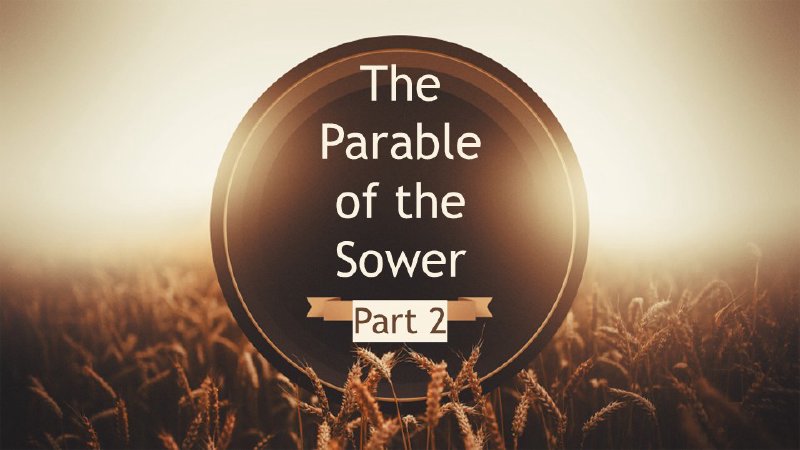 The Parable of the Sower (Part 2) | Bella Vista Community Church