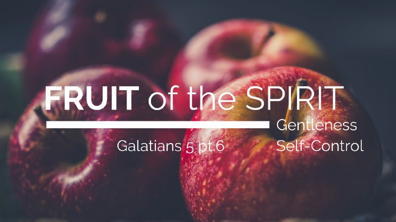 Fruit of the Spirit_Gentleness, Self-Control | Zion Community Church