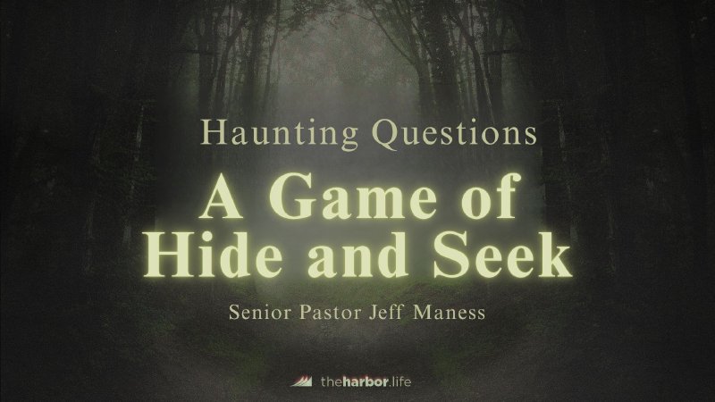 A Game of Hide and Seek | The Harbor