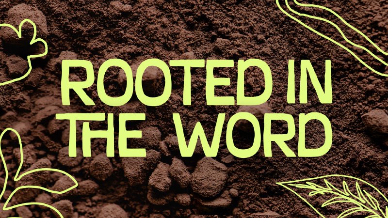 Rooted in the Word | The Connection Church
