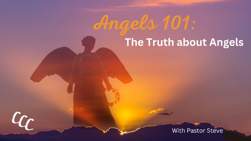 THE TRUTH ABOUT ANGELS visual data 5