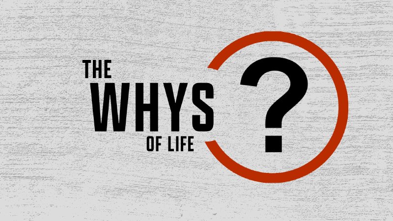 Why Do Jews Face So Much Hate Northpark