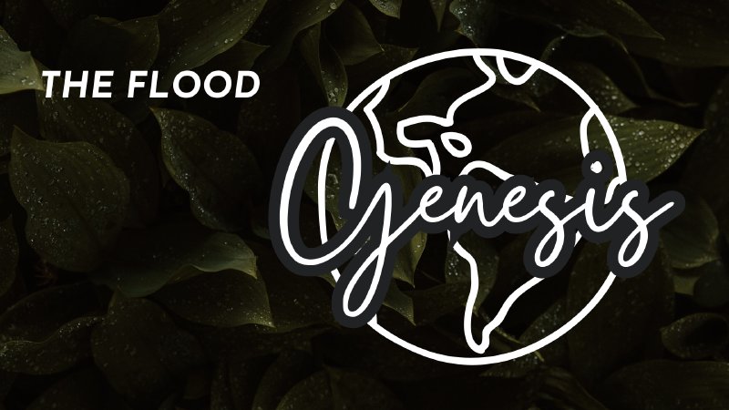 The Flood Genesis 7 Trinity Baptist Church Id