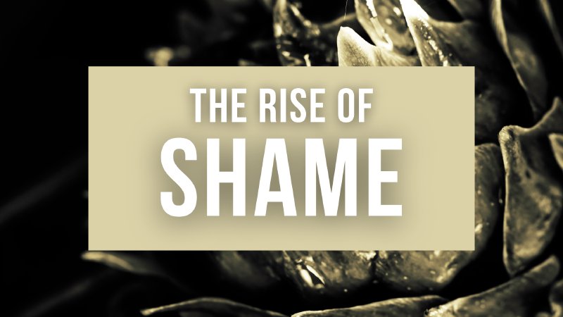 The Rise Of Shame Crossover Church