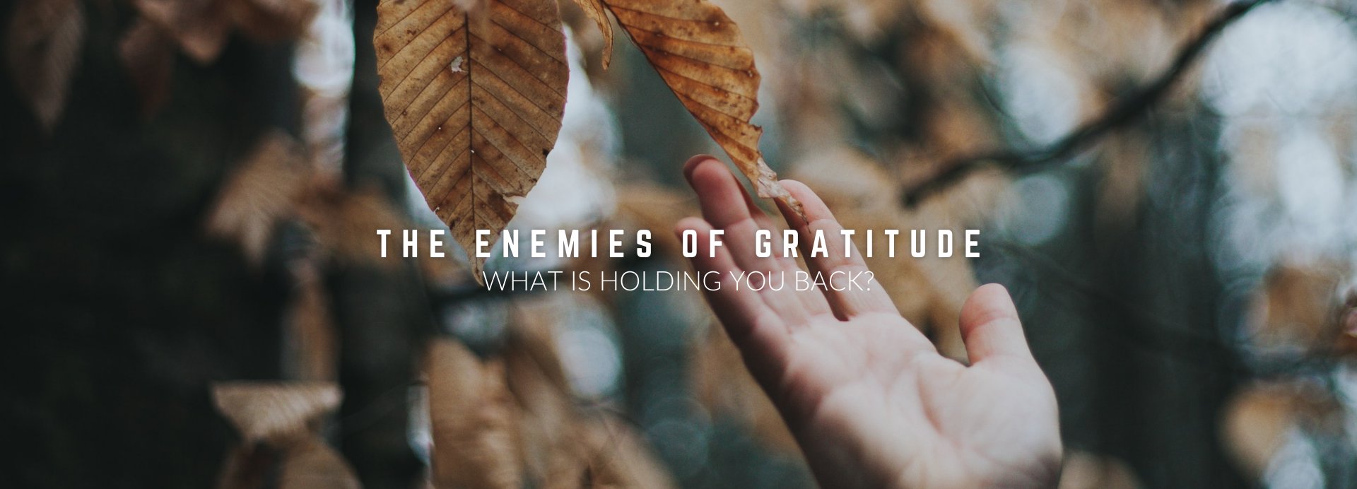 The Enemies of Gratitude