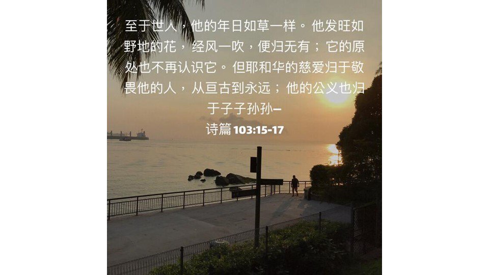 每日灵修 2019年5月16日 Petra Community