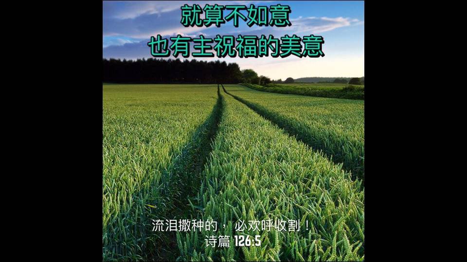 每日灵修 10月23日 Petra Community