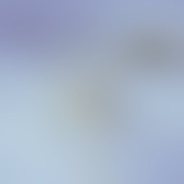 6月3日(三)|示劍、疏割谷 - 宣教日引 Mission Pathway
