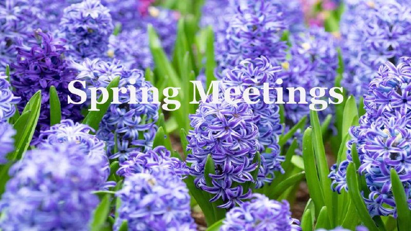 Spring Wednseday Wednesday Evening Spring Meetings 2024 | Anchor Baptist Church