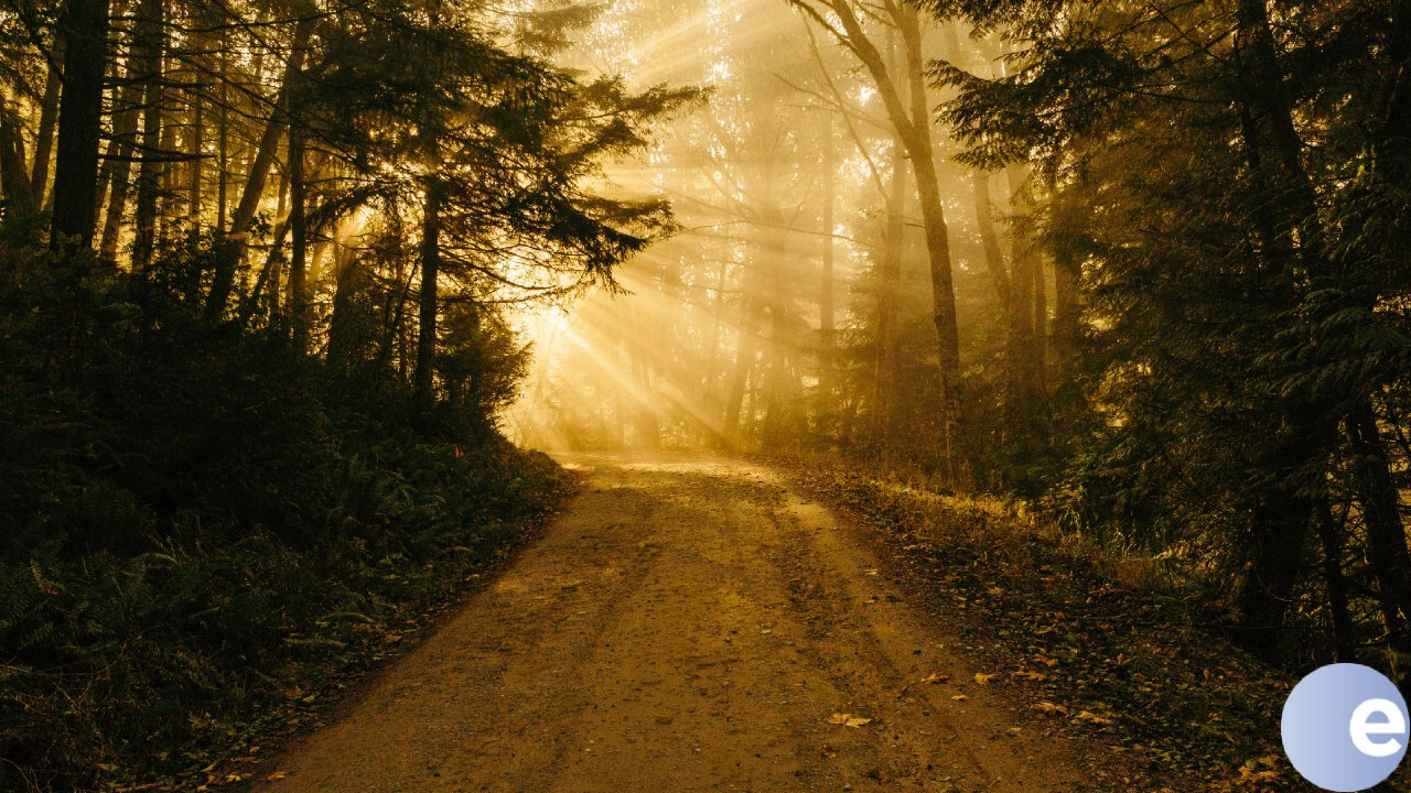 The Lord Shall Direct Your Path - Encountering Peace