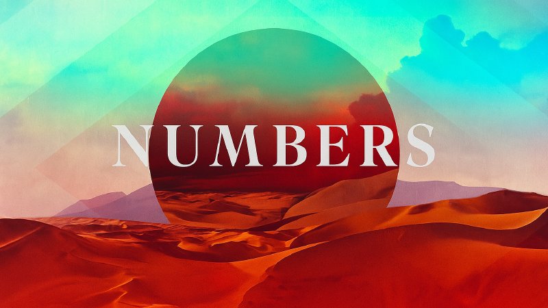 Kris Reed Numbers | Park Church LB